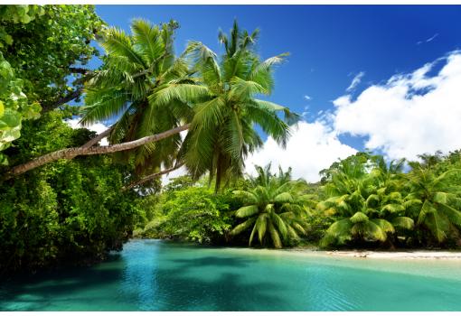 Como esta remota playa en Mahe (Seychelles)